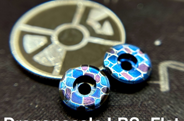 Dragonscale LBS image